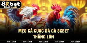 19-meo-ca-cuoc-da-ga-8kbet-thang-lon