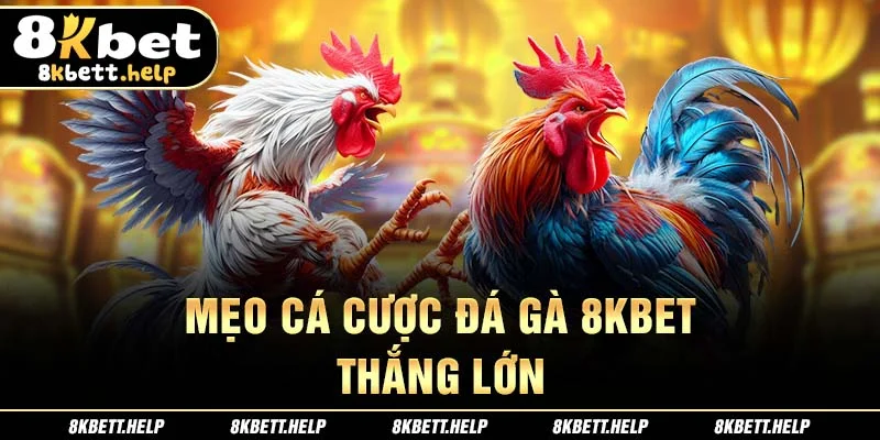 19-meo-ca-cuoc-da-ga-8kbet-thang-lon