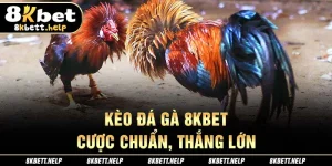 22-keo-da-ga-8kbet-cuoc-chuan-thang-lon