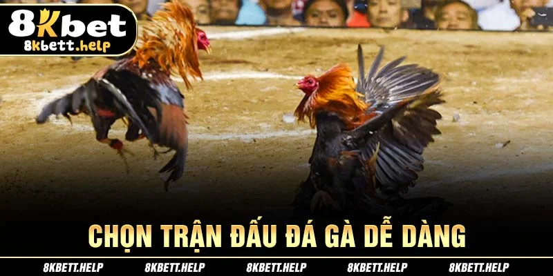 26-chon-tran-dau-da-ga-de-dang