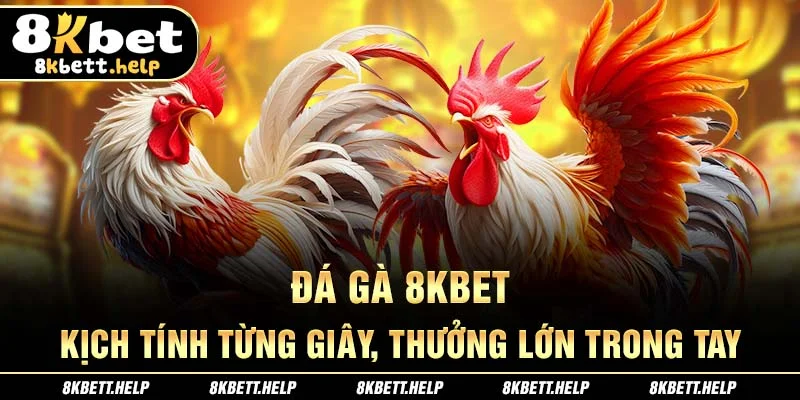 15-da-ga-8kbet-kich-tinh-tung-giay-thuong-lon-trong-tay