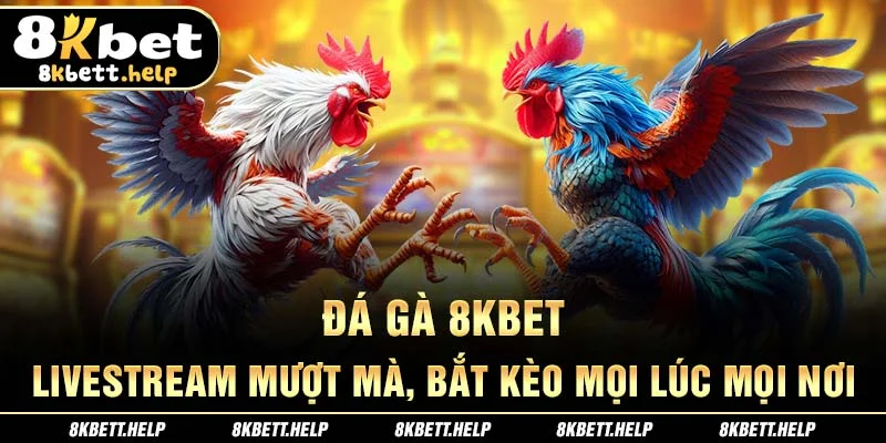 16-da-ga-8kbet-livestream-muot-ma-bat-keo-moi-luc-moi-noi