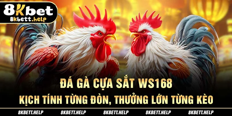 17-da-ga-cua-sat-ws168-kich-tinh-tung-don-thuong-lon-tung-keo