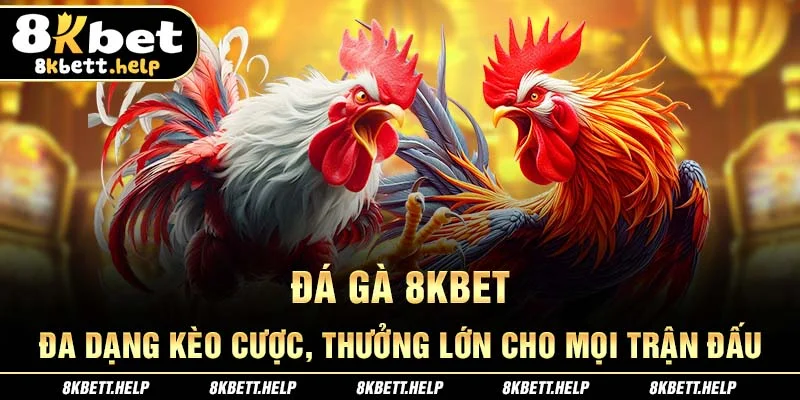 18-da-ga-8kbet-da-dang-keo-cuoc-thuong-lon-cho-moi-tran-dau